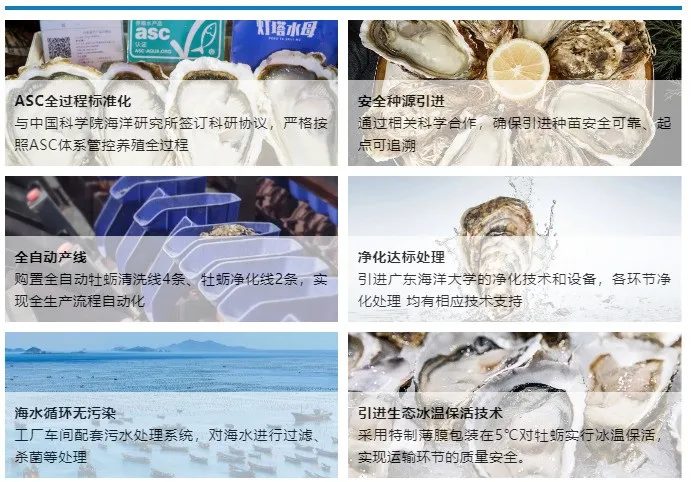 灯塔水母——高品质牡蛎品牌(图15)