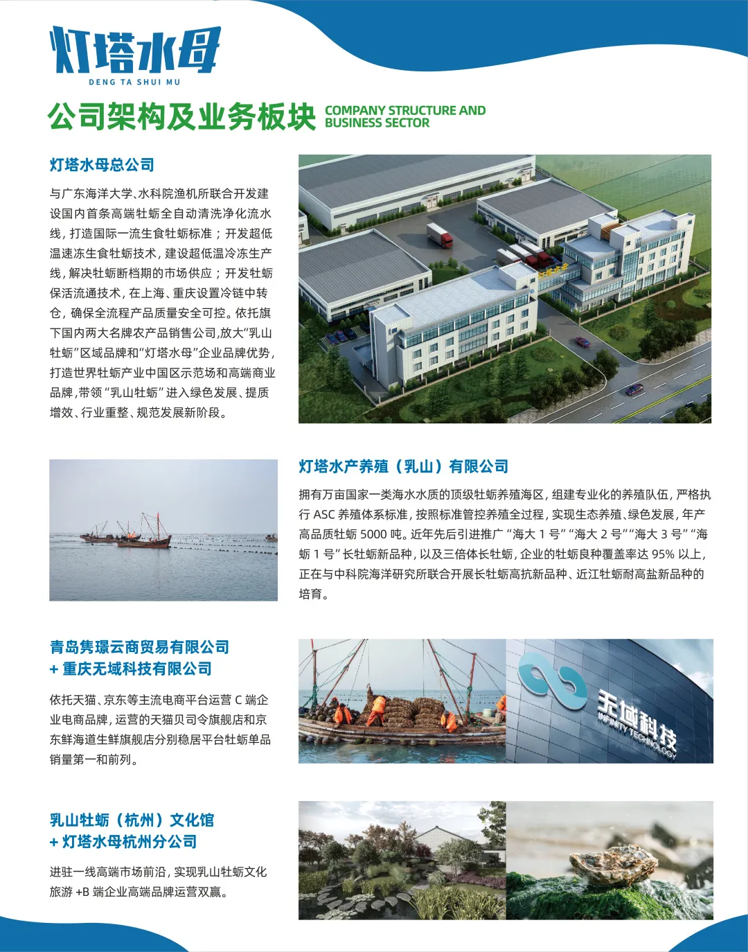 灯塔水母——高品质牡蛎品牌(图3)