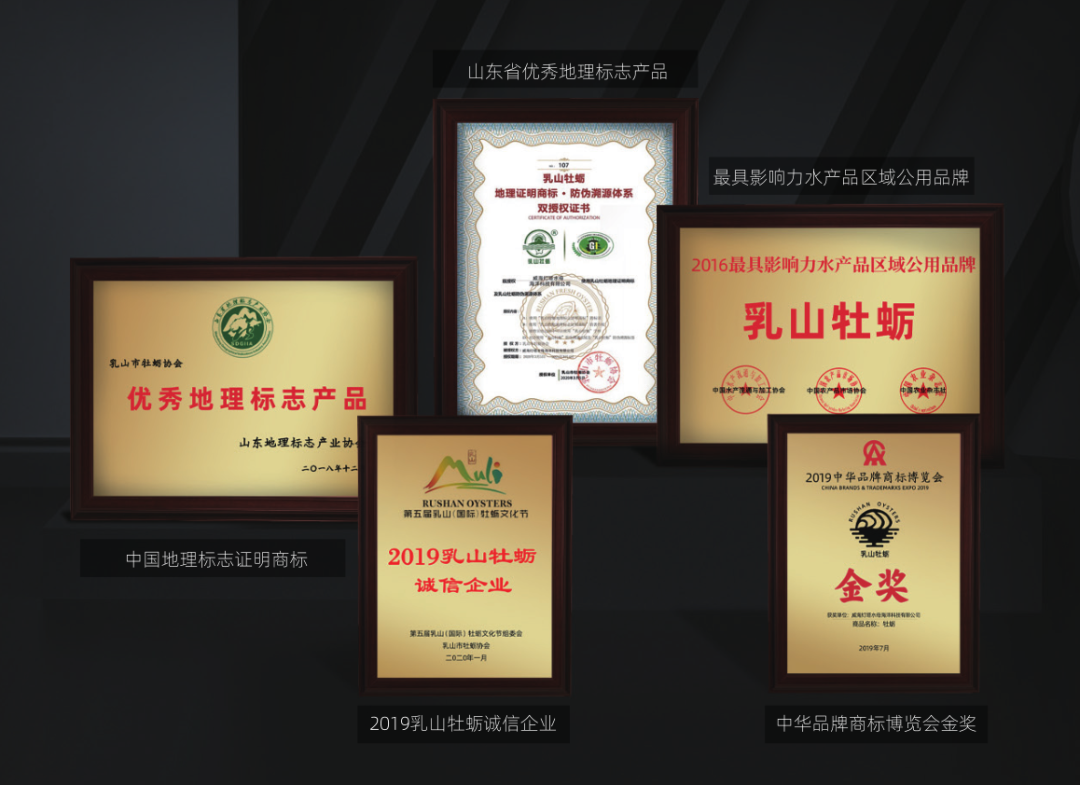 灯塔水母——高品质牡蛎品牌(图8)