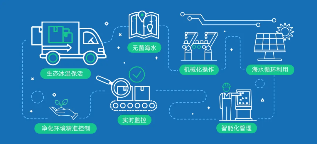 灯塔水母——高品质牡蛎品牌(图14)