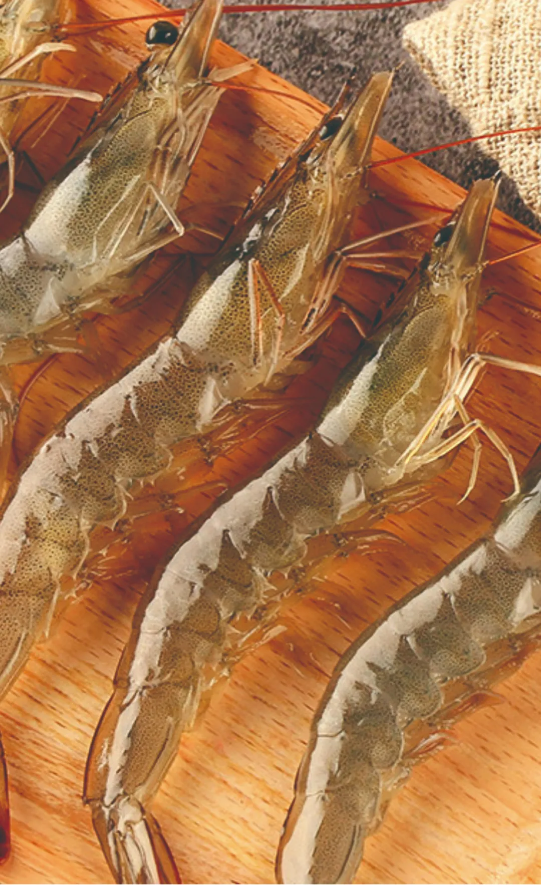 越南越海水产公司——为满足客户更多层次的产品需求和消费者期望而不懈努力！(图6)