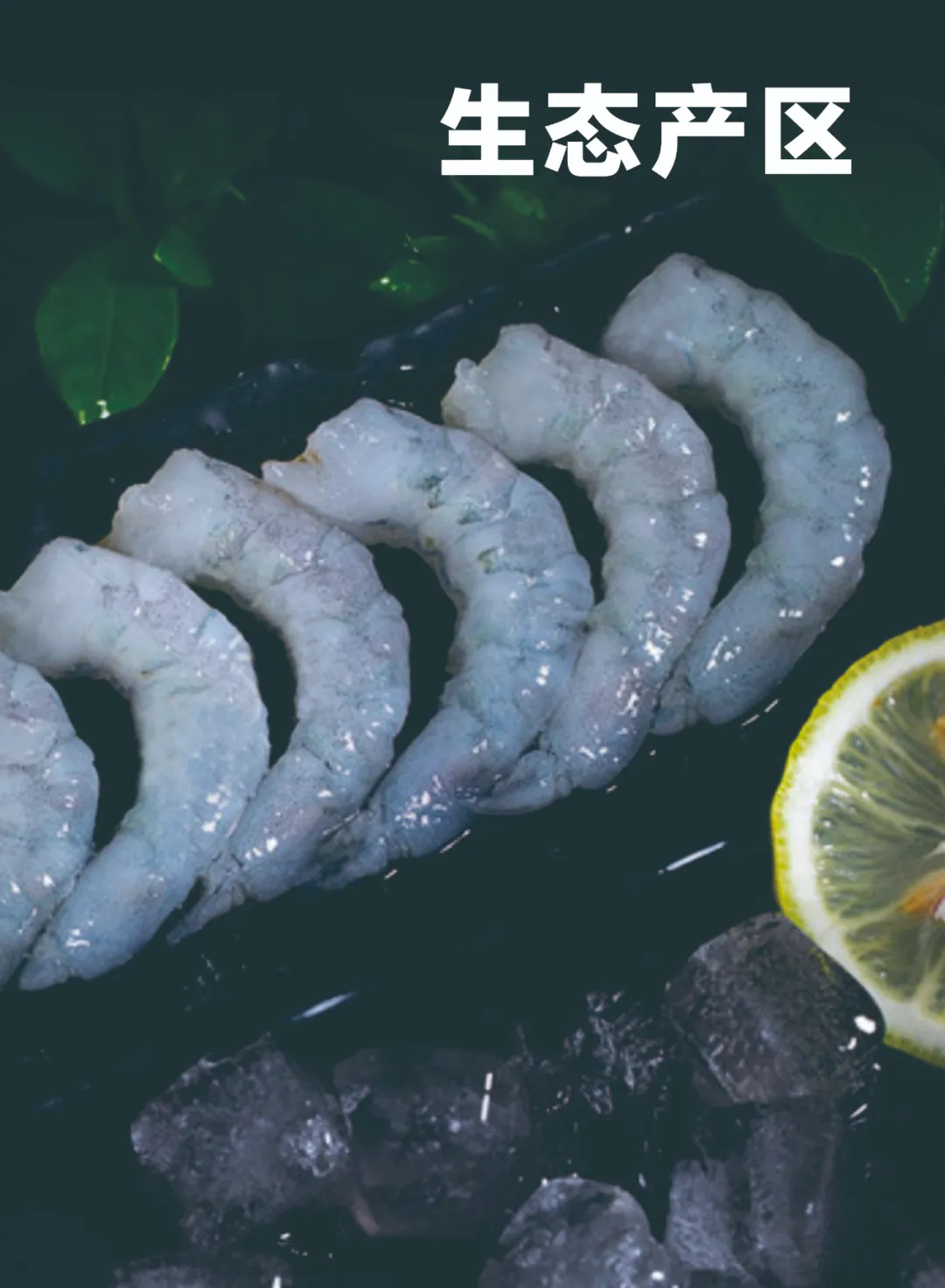 越南越海水产公司——为满足客户更多层次的产品需求和消费者期望而不懈努力！(图10)