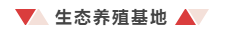 佛山刘氏水产养殖有限公司——中国味皇帝鱼,致力于为中国餐桌上多一条安全、营养、健康的鱼(图3) 佛山刘氏水产养殖有限公司——中国味皇帝鱼,致力于为中国餐桌上多一条安全、营养、健康的鱼(图3)
