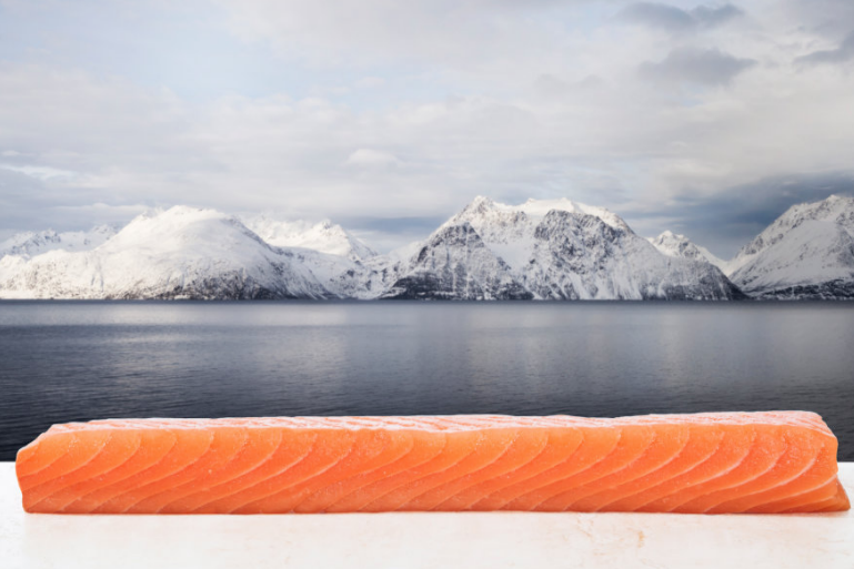 挪威海鲜在欧洲开始复苏，中国三文鱼进口回暖！(图3)