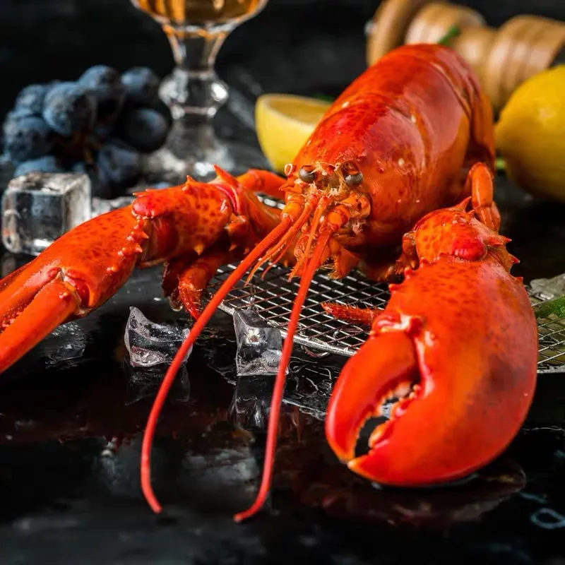 大连博大世界海鲜有限公司邀您参加第16届上海国际渔业博览会！(图4)