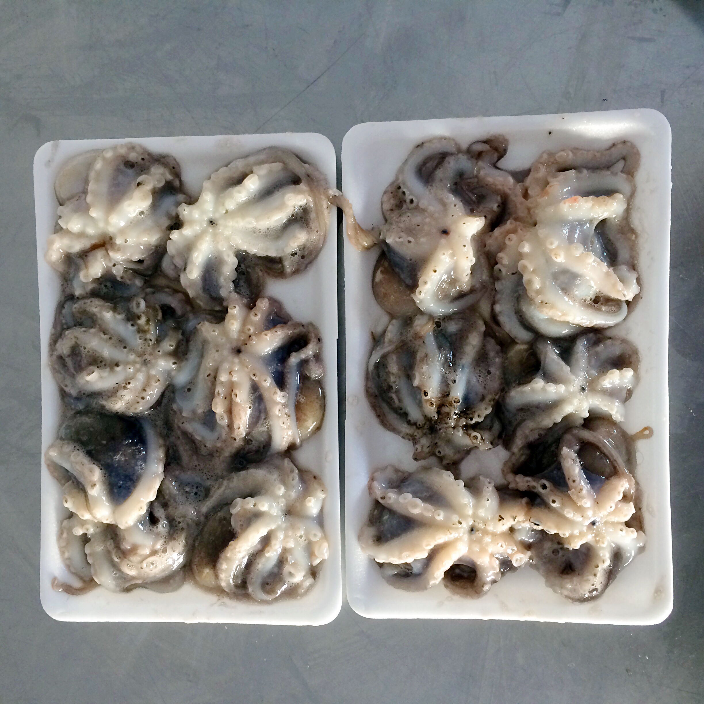 威海市润德食品股份有限公司——感恩自然、回馈社会、和谐共赢、永续发展(图6)