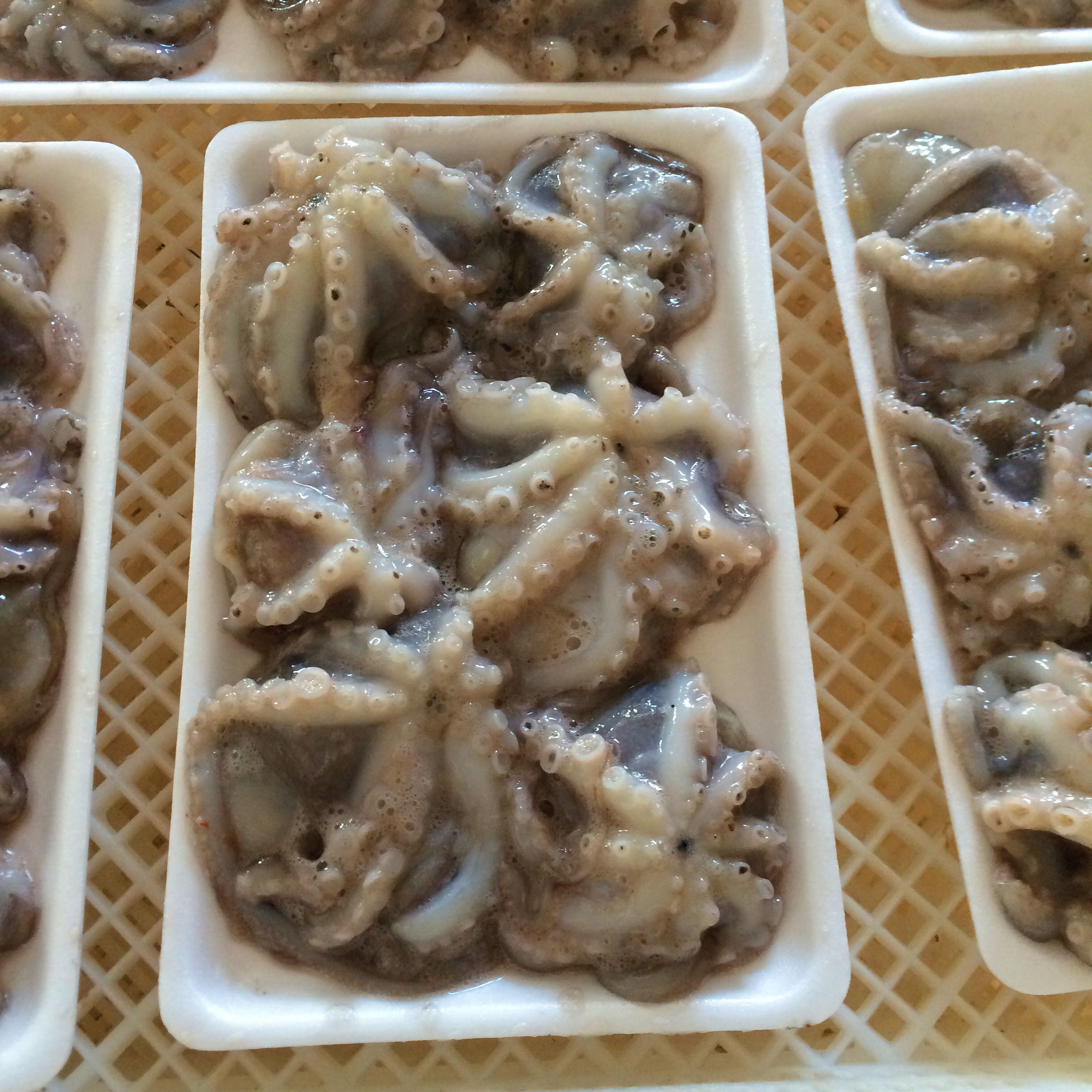 威海市润德食品股份有限公司——感恩自然、回馈社会、和谐共赢、永续发展(图5)