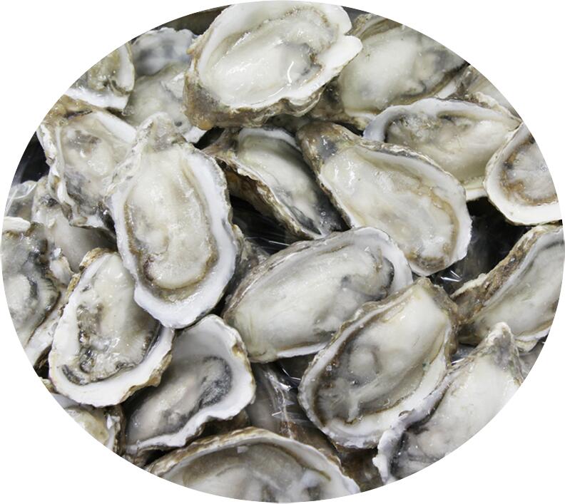 威海市润德食品股份有限公司——感恩自然、回馈社会、和谐共赢、永续发展(图12)