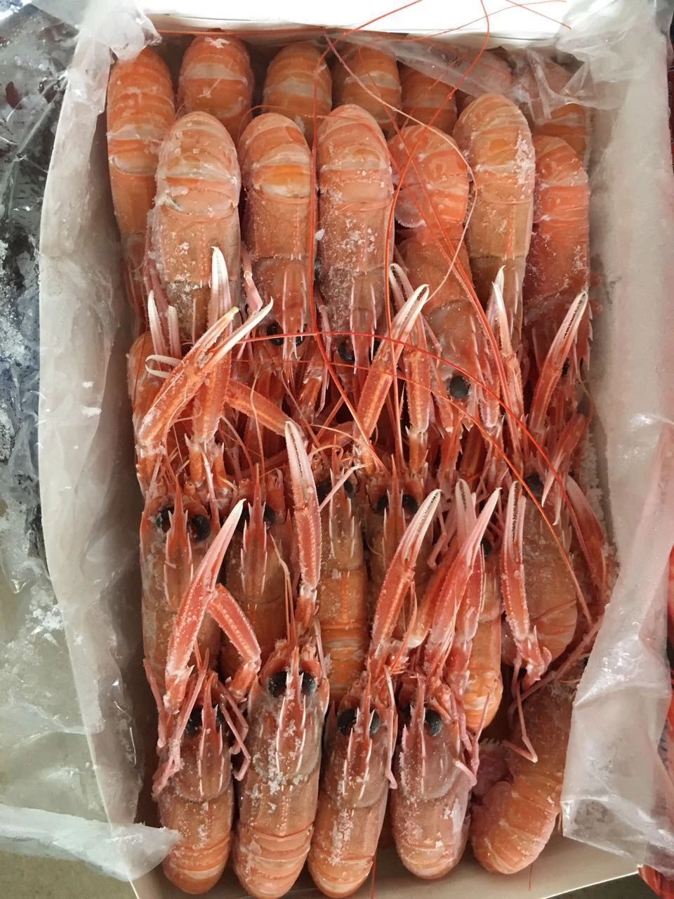 舟山市世纪星海洋食品有限公司——提供优质、安全、美味的海洋食品(图5)