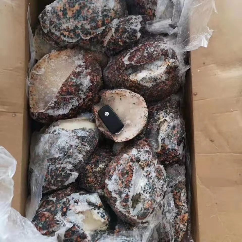 舟山市世纪星海洋食品有限公司——提供优质、安全、美味的海洋食品(图7)