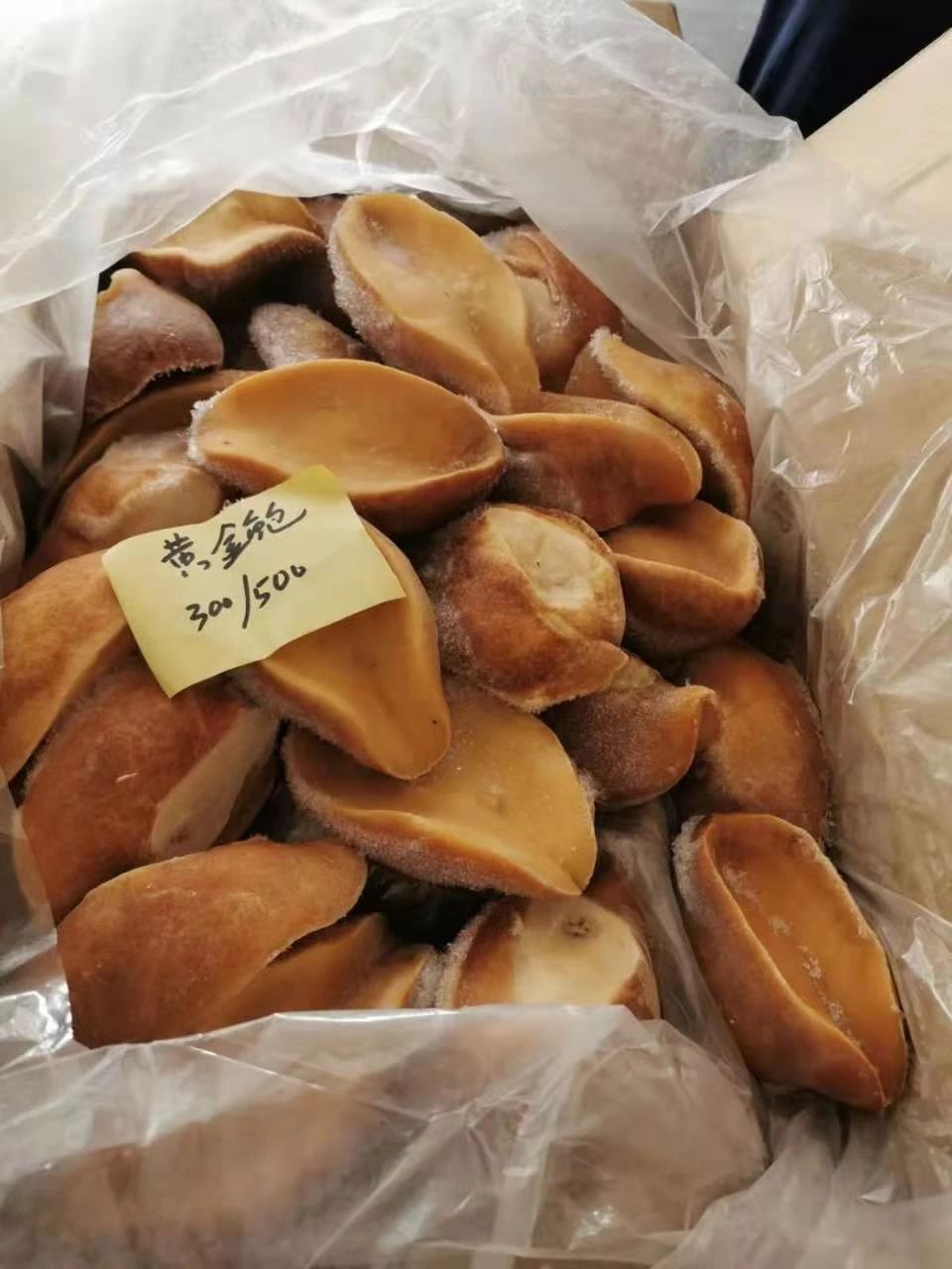 舟山市世纪星海洋食品有限公司——提供优质、安全、美味的海洋食品(图8)