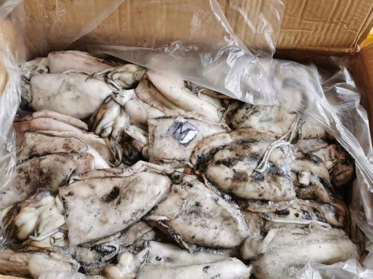 舟山市世纪星海洋食品有限公司——提供优质、安全、美味的海洋食品(图10)