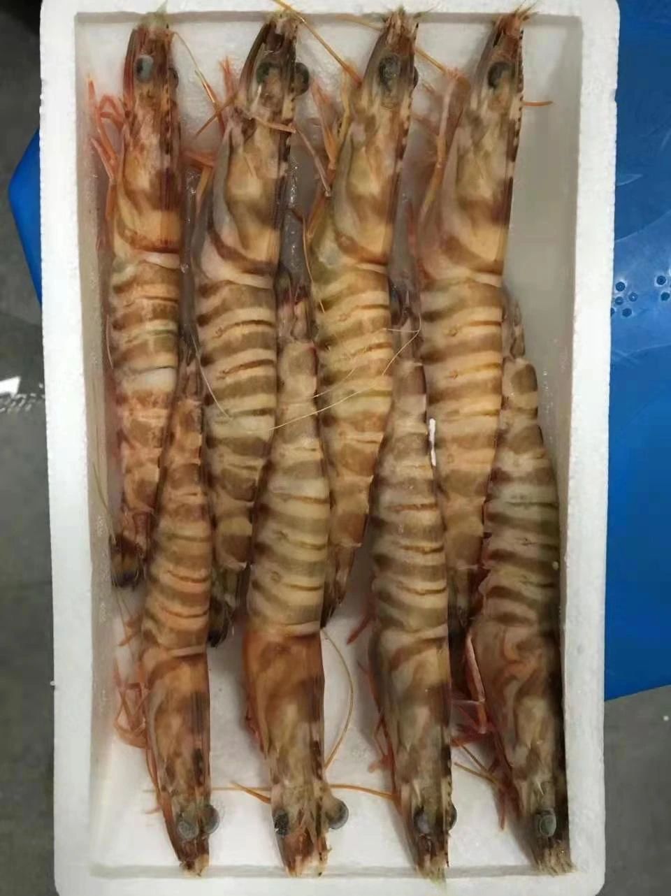 舟山市世纪星海洋食品有限公司——提供优质、安全、美味的海洋食品(图6)