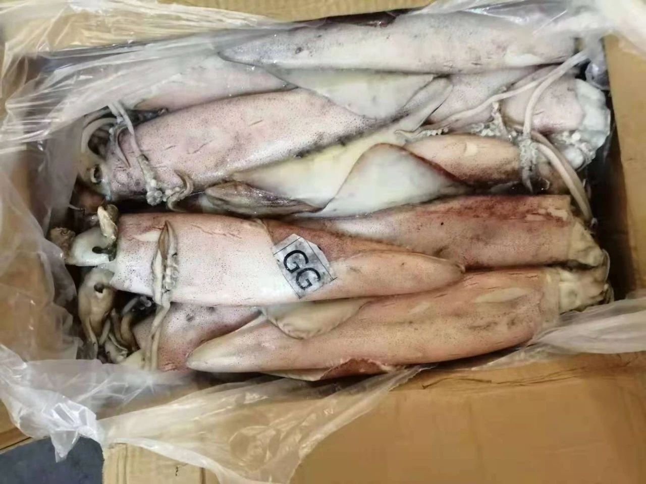 舟山市世纪星海洋食品有限公司——提供优质、安全、美味的海洋食品(图11)