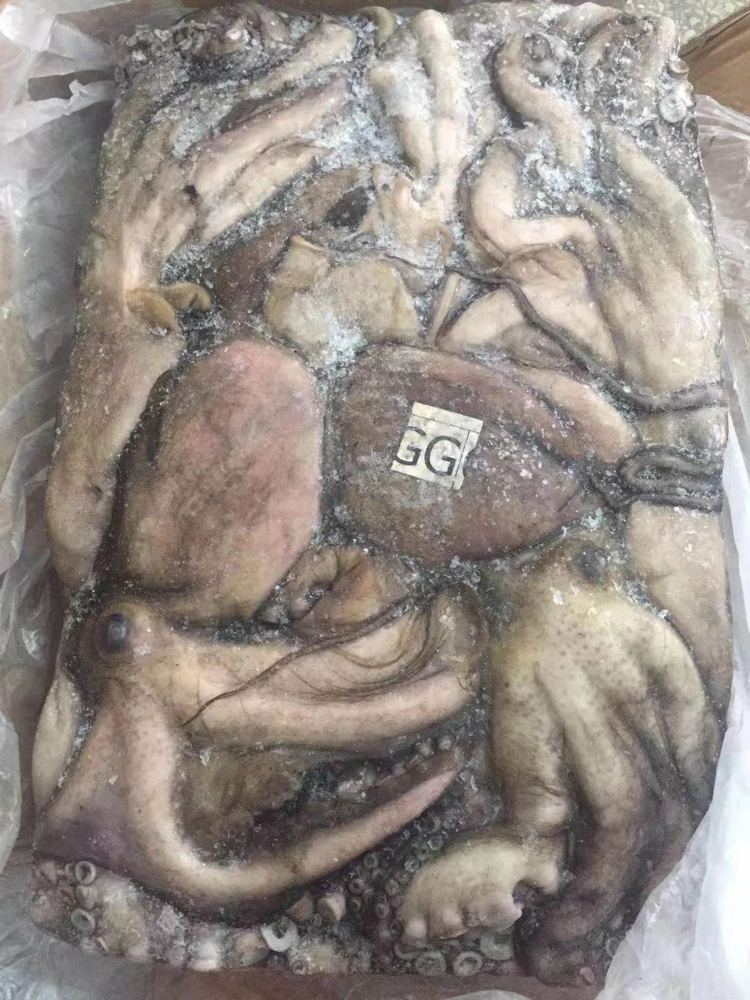舟山市世纪星海洋食品有限公司——提供优质、安全、美味的海洋食品(图12)
