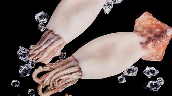 舟山晶和食品有限公司——品味全球海鲜，感受舌尖鲜甜(图7)