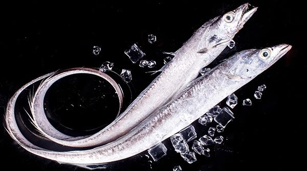 舟山晶和食品有限公司——品味全球海鲜，感受舌尖鲜甜(图4)