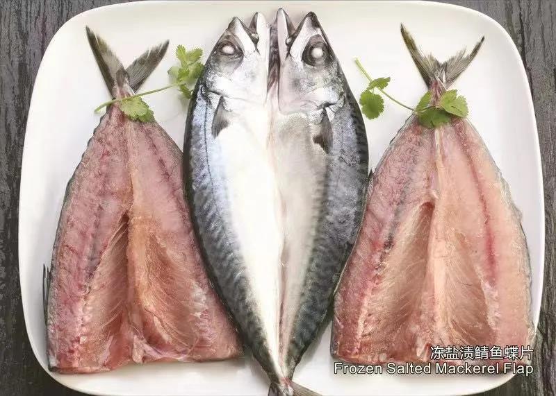 舟山市双赢水产有限公司 专业冷冻鲭鱼加工厂 Professional Mackerel Producer 第16届上海国际渔业博览会 舟山市双赢水产有限公司 专业冷冻鲭鱼加工厂 Professional Mackerel Producer 第16届上海国际渔业博览会