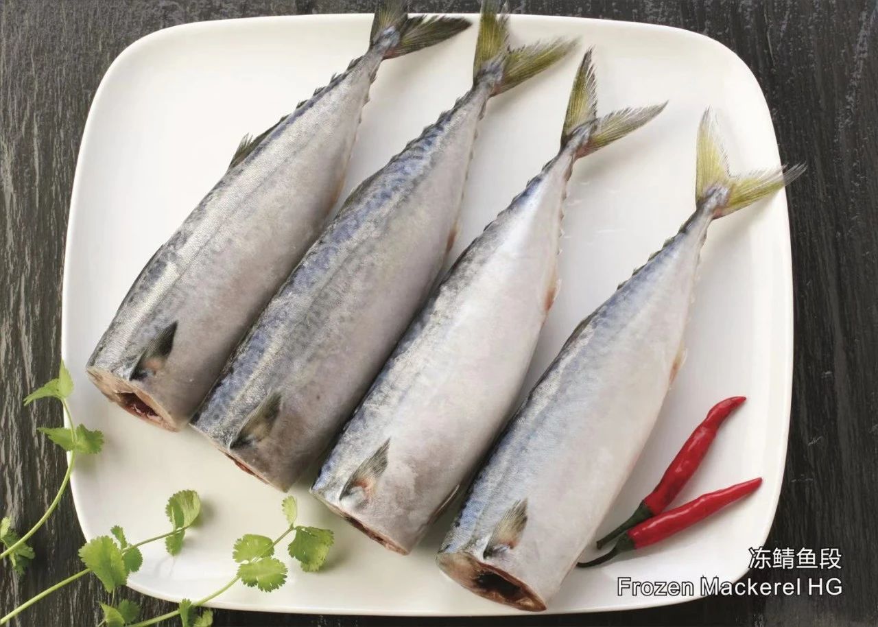 舟山市双赢水产有限公司 专业冷冻鲭鱼加工厂 Professional Mackerel Producer 第16届上海国际渔业博览会 舟山市双赢水产有限公司 专业冷冻鲭鱼加工厂 Professional Mackerel Producer 第16届上海国际渔业博览会