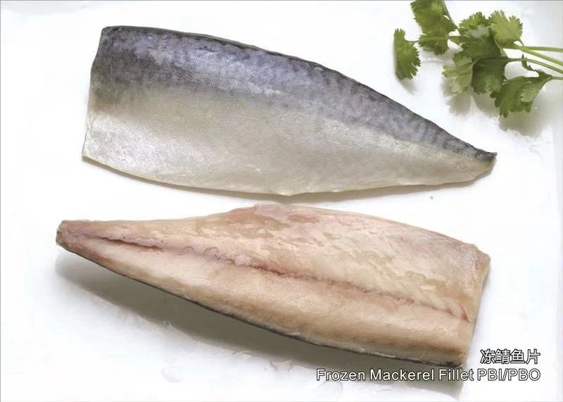 舟山市双赢水产有限公司 专业冷冻鲭鱼加工厂 Professional Mackerel Producer 第16届上海国际渔业博览会 舟山市双赢水产有限公司 专业冷冻鲭鱼加工厂 Professional Mackerel Producer 第16届上海国际渔业博览会