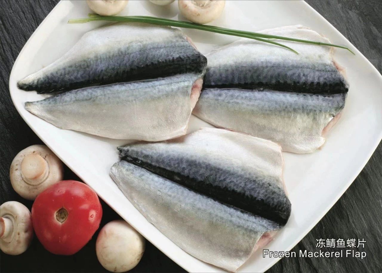 舟山市双赢水产有限公司——专业冷冻鲭鱼加工厂/Professional Mackerel Producer(图5)