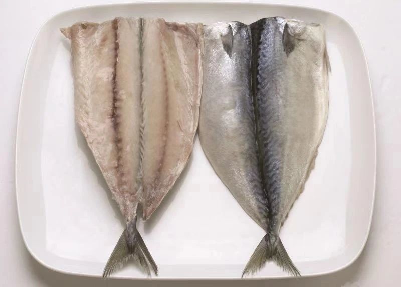 舟山市双赢水产有限公司 专业冷冻鲭鱼加工厂 Professional Mackerel Producer 第16届上海国际渔业博览会 舟山市双赢水产有限公司 专业冷冻鲭鱼加工厂 Professional Mackerel Producer 第16届上海国际渔业博览会