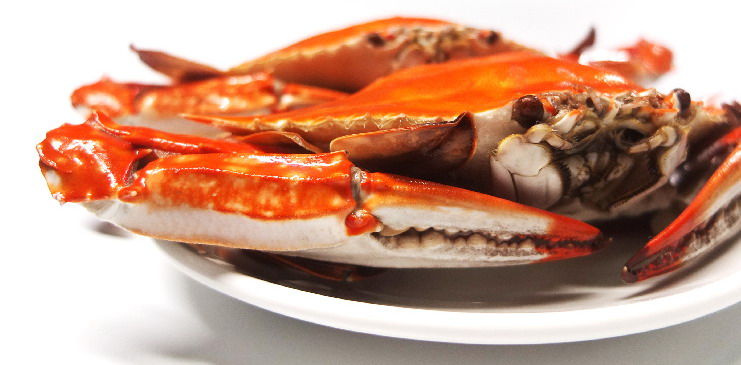 岱山县通衢水产食品有限公司诚邀您参加第16届上海国际渔业博览会！(图7)