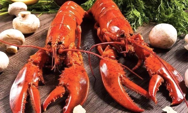 上海仪丰食品有限公司——诚信经营，合作共赢(图5)