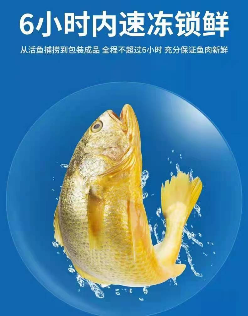 宁德市福东海水产品有限公司——依科技、讲诚信、重质量(图7)