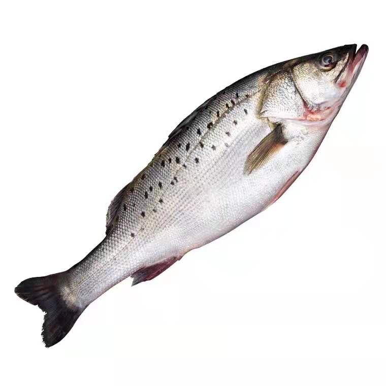 杭州潮润食品科技有限公司——质量第一服务第一客户第一(图4)