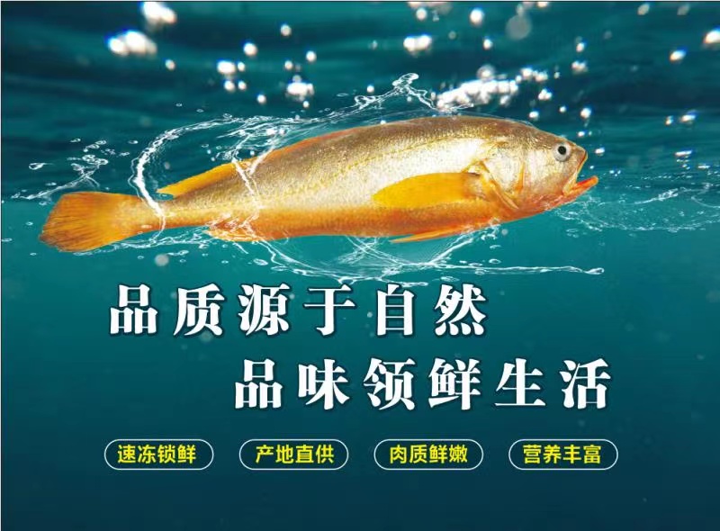 宁德市星光食品有限公司——诚信、负责、精致、优质(图5)