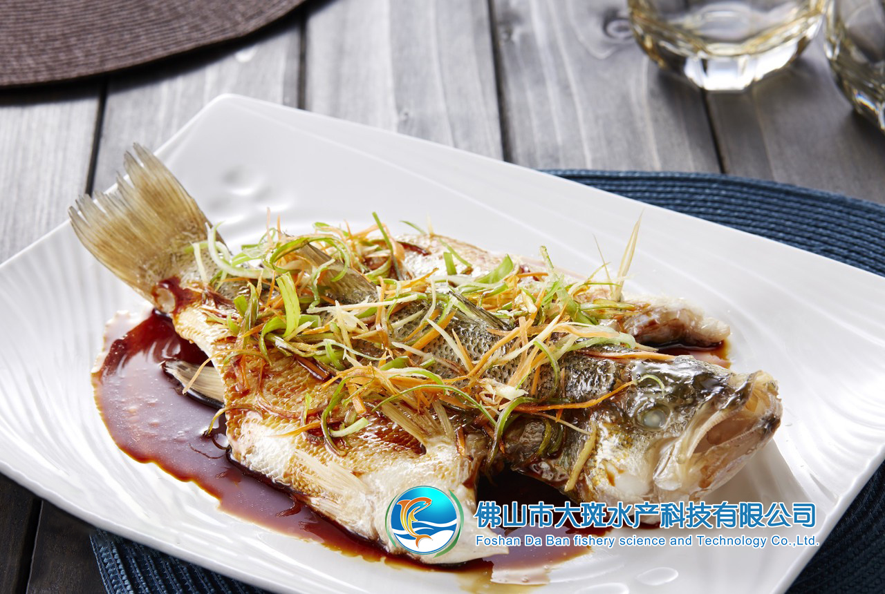 佛山市大斑水产科技有限公司——良心品质，坚持承诺(图12)