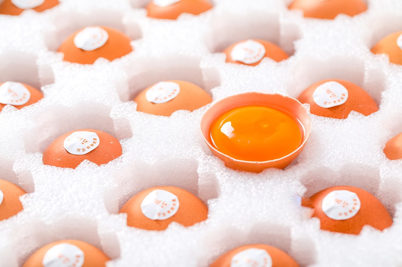 大连川洋贸易有限公司——匠人初心，诚信为客户——匠人初心，诚信为客户(图5)