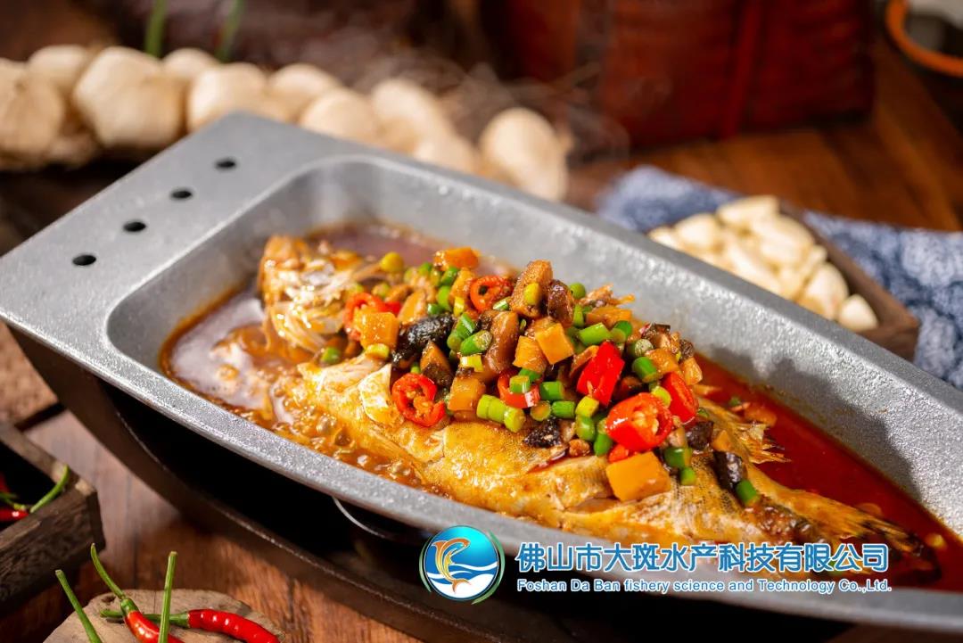 佛山市大斑水产科技有限公司——良心品质，坚持承诺(图6)