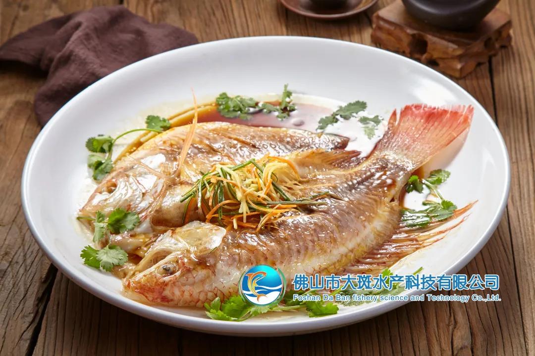 佛山市大斑水产科技有限公司——良心品质，坚持承诺(图5)