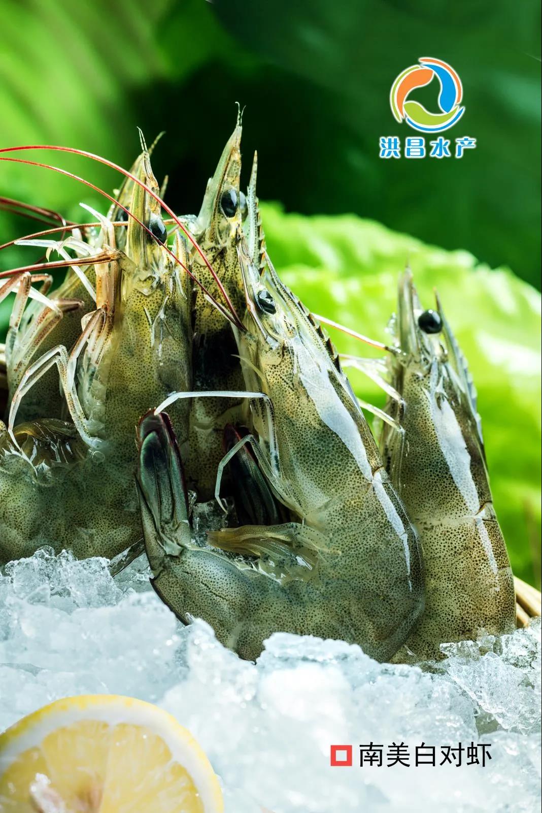 北海洪昌水产有限公司诚邀您参加第16届上海国际渔业博览会！(图6)