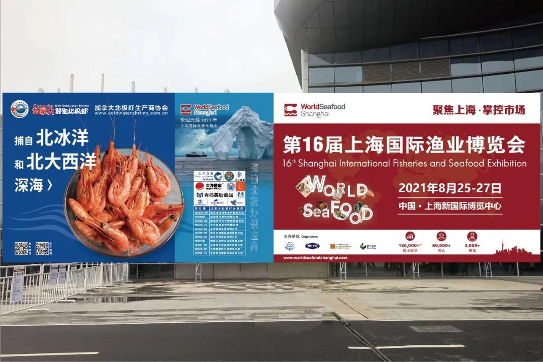 加拿大北极虾生产商协会走进上海渔博会：带领进口商开拓国内市场新局面！(图8)