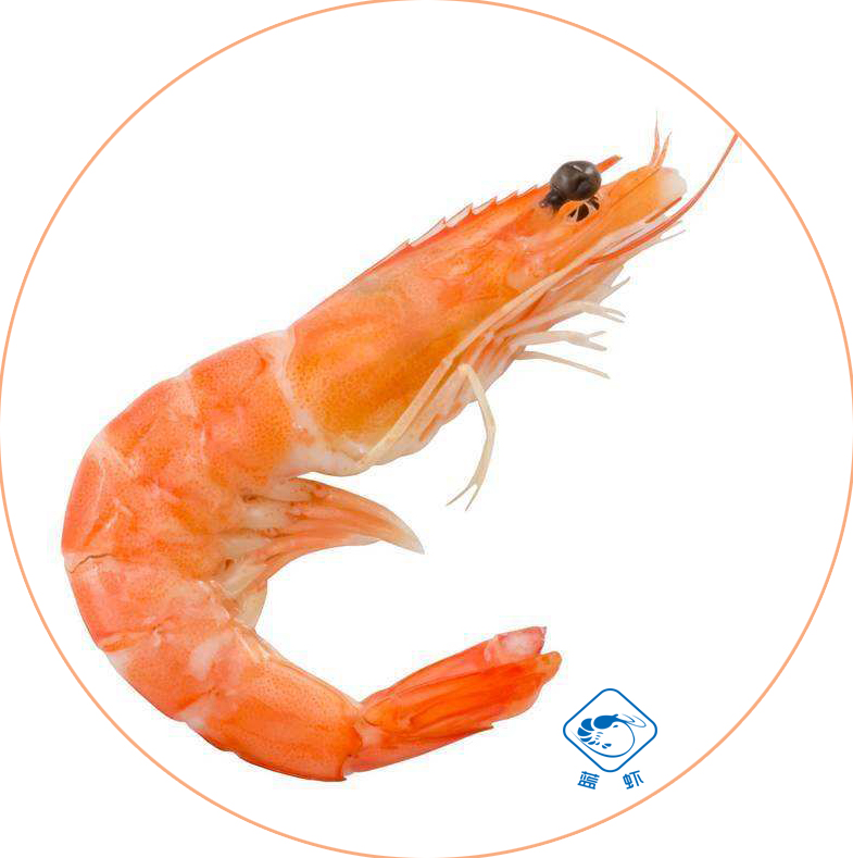 广东蓝虾海产品有限公司——质量第一，服务第一，客户第一(图9)