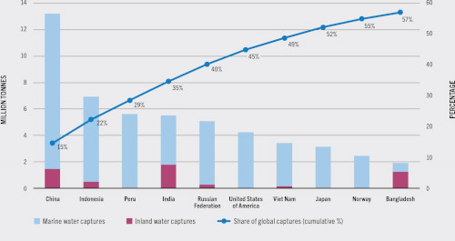 China’s Fisheries Policy Makes Belated Shift To Sustainability – Analysis(图2)