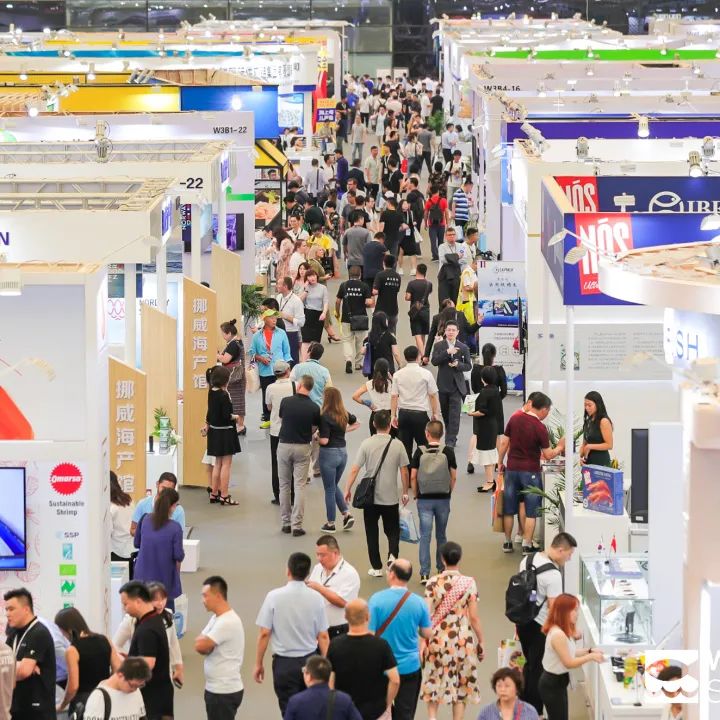 风好帆正悬，推介正当时——上海国际渔博会走进良之隆电商食材节(图10)