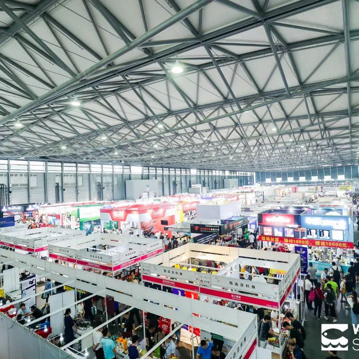 风好帆正悬，推介正当时——上海国际渔博会走进良之隆电商食材节(图11)