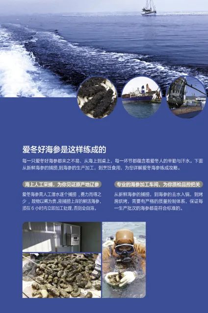 大连爱冬水产食品有限公司——责任、品质、诚信(图5) 大连爱冬水产食品有限公司——责任、品质、诚信(图5)