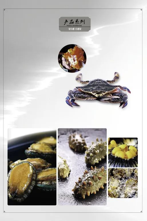 大连爱冬水产食品有限公司——责任、品质、诚信(图13) 大连爱冬水产食品有限公司——责任、品质、诚信(图13)