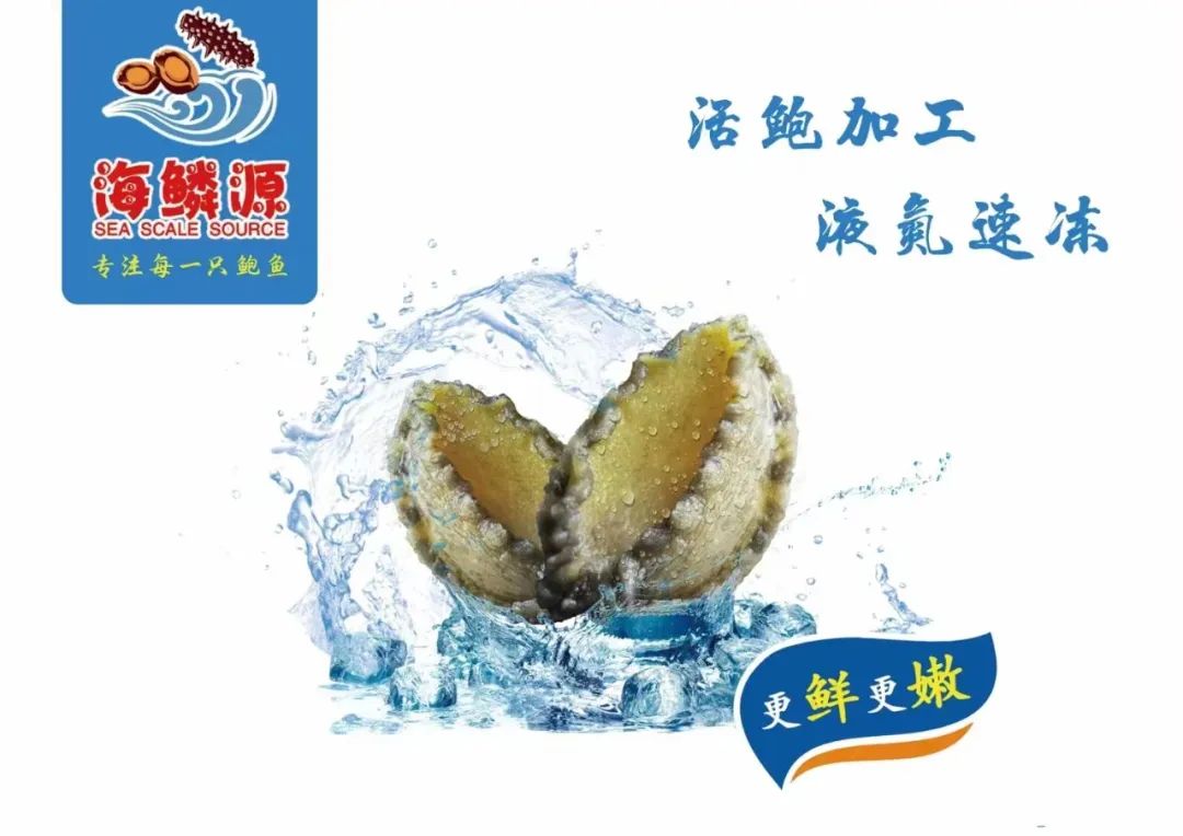 福建海鳞源食品开发有限公司——专注每一只鲍鱼(图3)