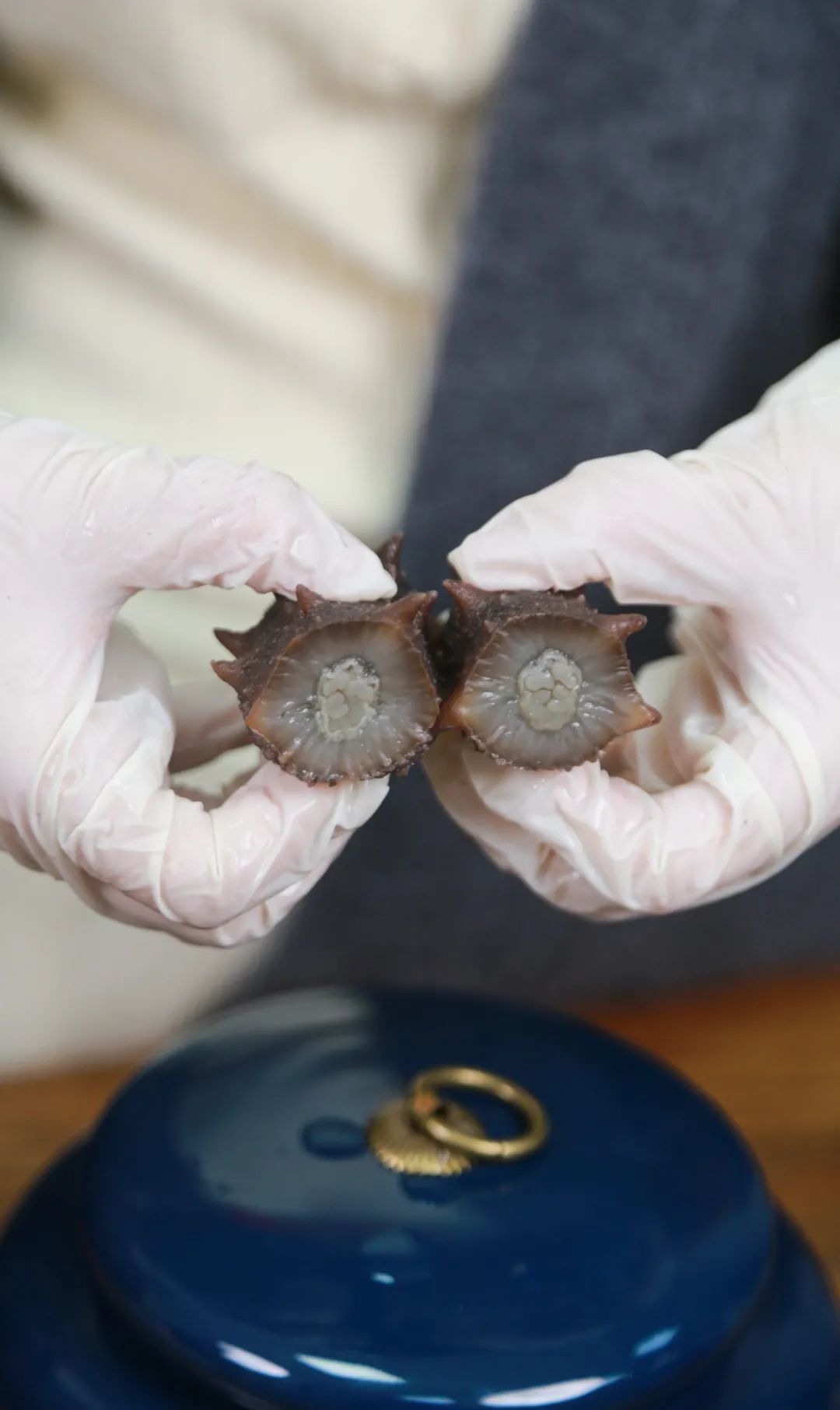 山东一洋海洋科技有限公司——匠心良品 一洋海参(图5) 山东一洋海洋科技有限公司——匠心良品 一洋海参(图5)