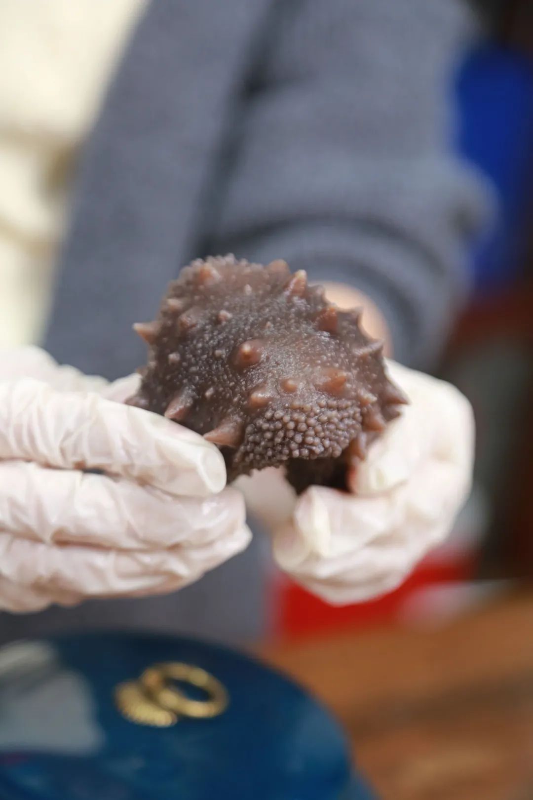 山东一洋海洋科技有限公司——匠心良品 一洋海参(图6) 山东一洋海洋科技有限公司——匠心良品 一洋海参(图6)