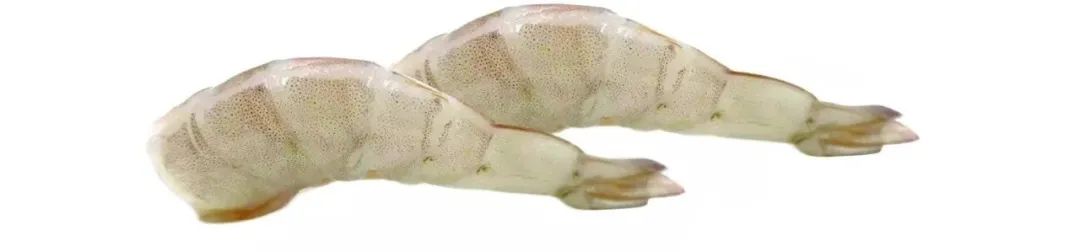 上海日仕福贸易有限公司——以专心成就安心,用细节打动客户(图10) 上海日仕福贸易有限公司——以专心成就安心,用细节打动客户(图10)