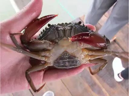 上海日仕福贸易有限公司——以专心成就安心,用细节打动客户(图17) 上海日仕福贸易有限公司——以专心成就安心,用细节打动客户(图17)