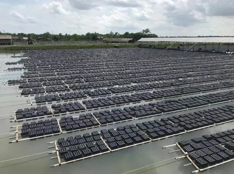 上海日仕福贸易有限公司——以专心成就安心,用细节打动客户(图20) 上海日仕福贸易有限公司——以专心成就安心,用细节打动客户(图20)