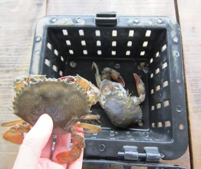 上海日仕福贸易有限公司——以专心成就安心,用细节打动客户(图22) 上海日仕福贸易有限公司——以专心成就安心,用细节打动客户(图22)